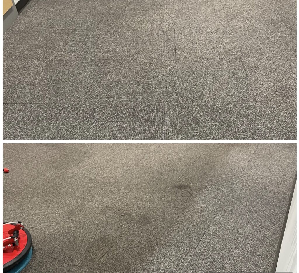 Carpet Cleaning